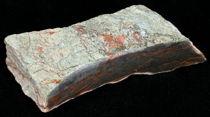 Agatized Dinosaur Bone Chunk (Polished) #6431